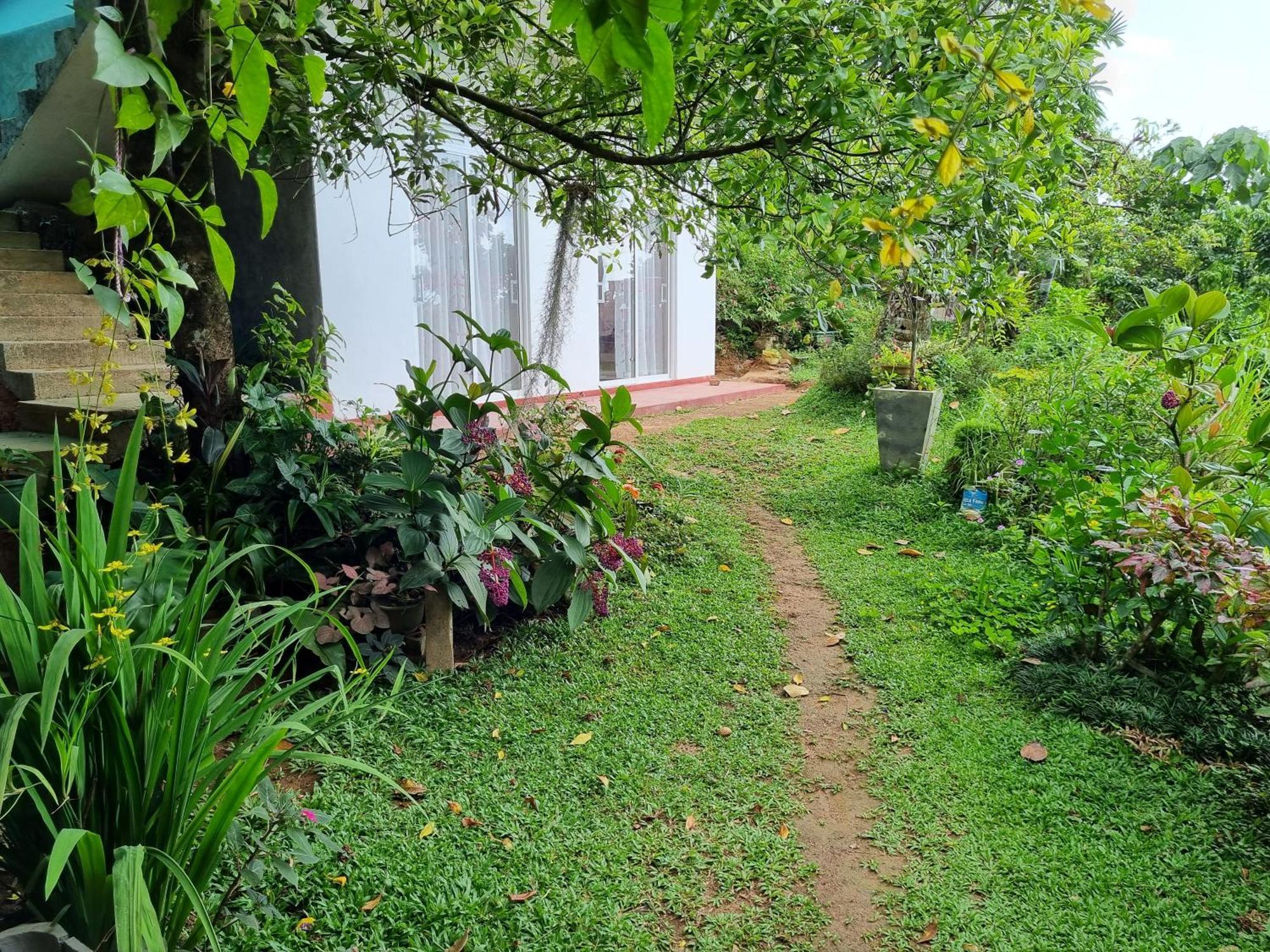 Squirrel'S Nest Hotel Kandy Exterior photo