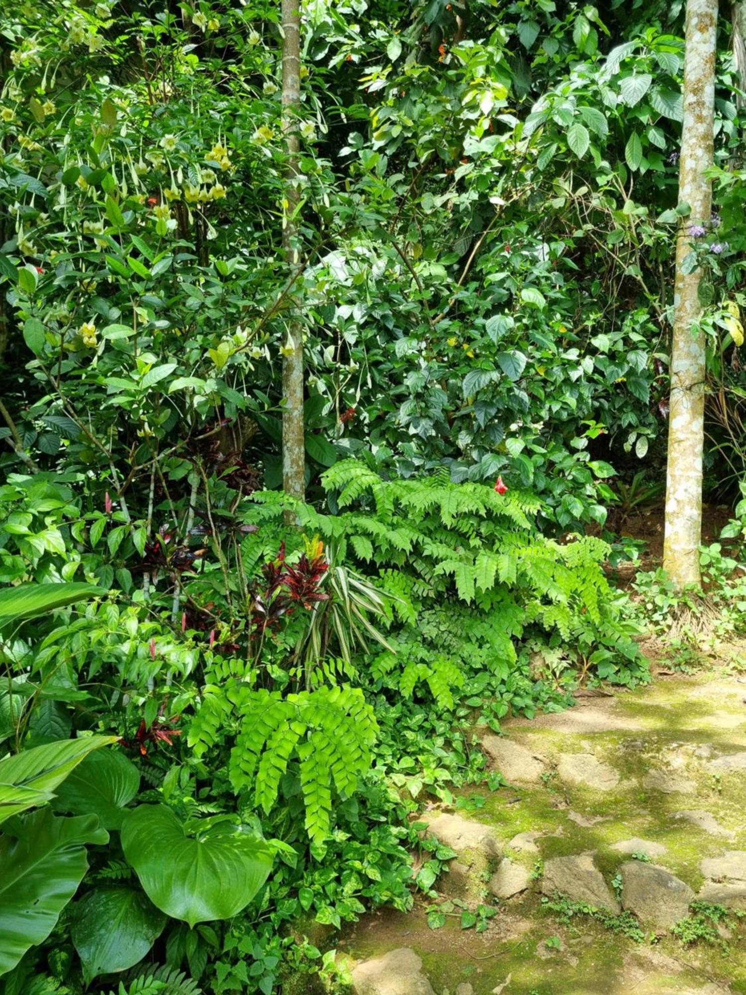 Squirrel'S Nest Hotel Kandy Exterior photo