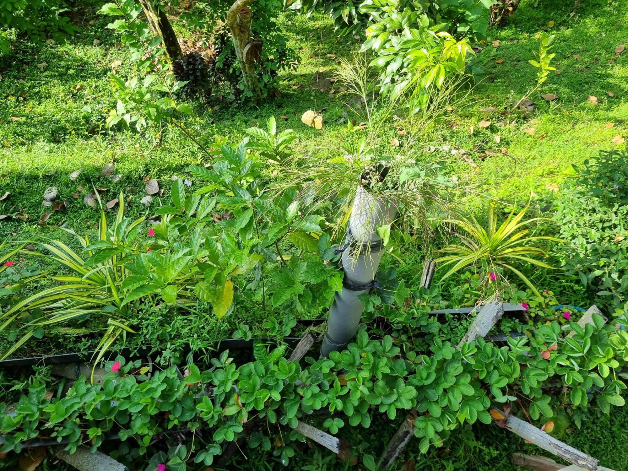Squirrel'S Nest Hotel Kandy Exterior photo