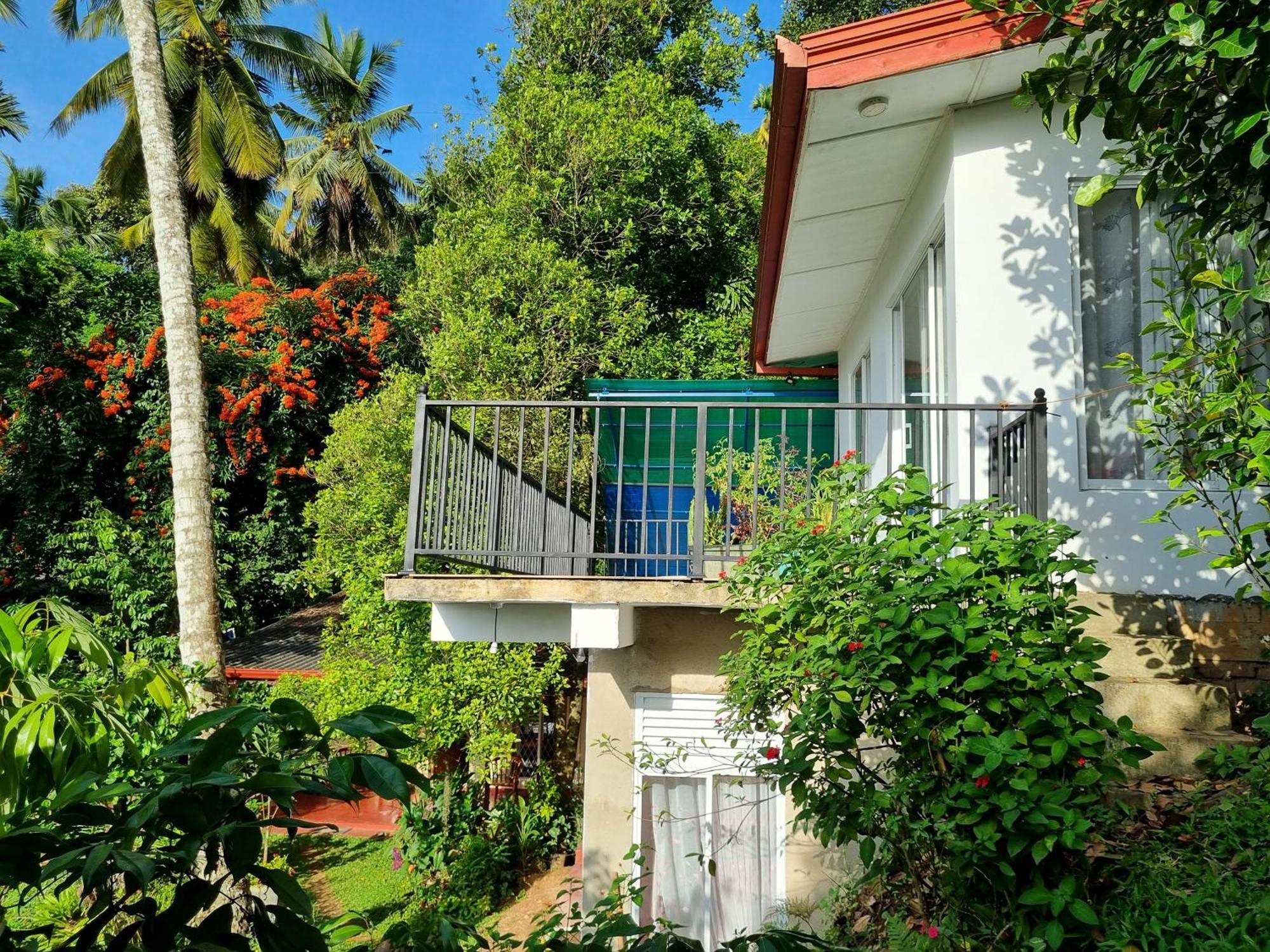 Squirrel'S Nest Hotel Kandy Exterior photo